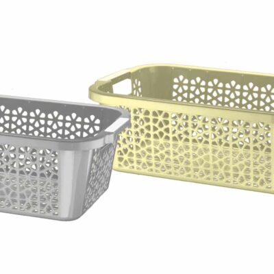 פלורינה גיגית קטנה