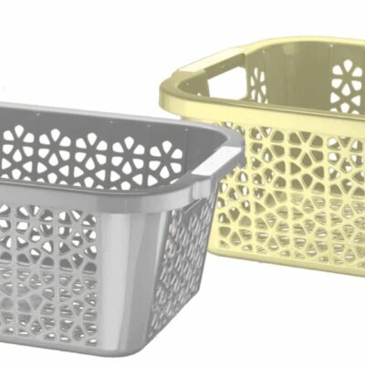 פלורינה גיגית גדולה