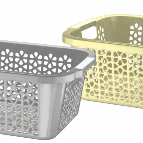 פלורינה גיגית גדולה