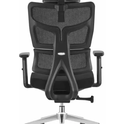 כסא משרדי אורטופדי President