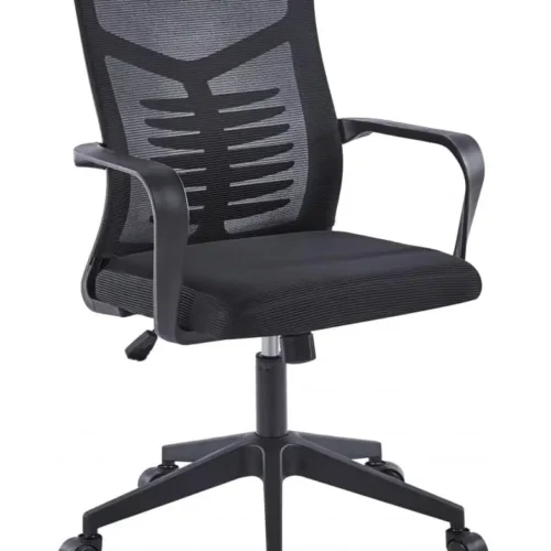 כסא תלמיד Zumba