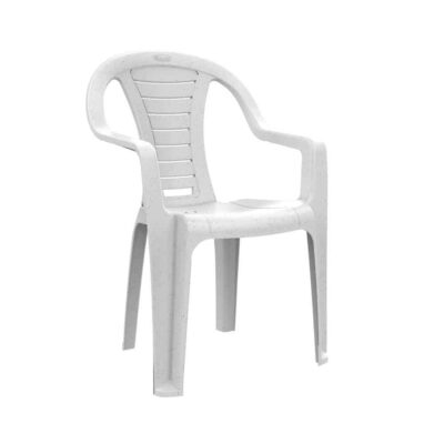 כסא פלסטיק עם מסעדי ידיים – דגם ליבי