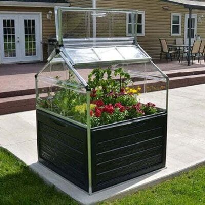 פלאנט אין - חממה מיני שקופה