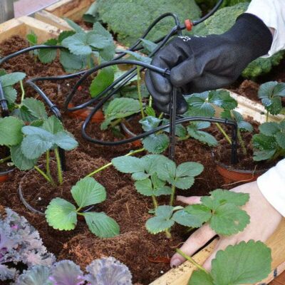 ערכת השקייה לחממה - נמכר בקניית חממה בלבד