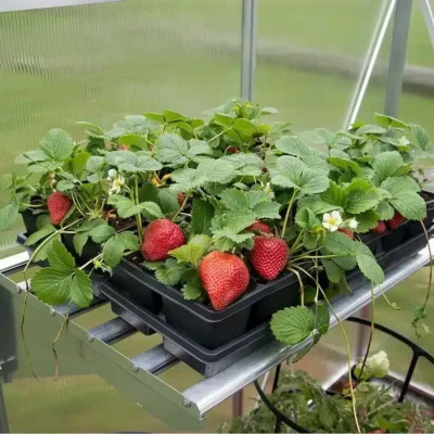 מדף אלומיניום לחממה ביתית פלרם - נמכר בקניית חממה בלבד