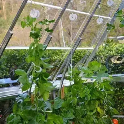 ערכת הדלייה לחממה - נמכר בקניית חממה בלבד