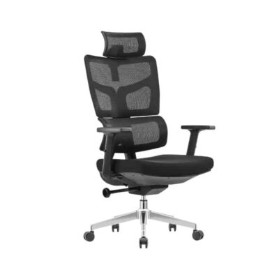 כסא משרדי אורטופדי President