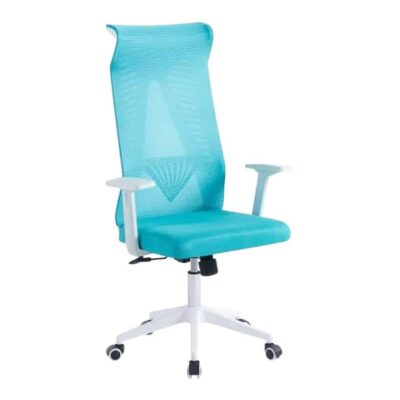 כסא משרדי עם משענות Manager