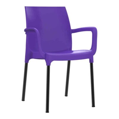 כסא נגיש עם מסעדי ידיים – כסא פלסטיק דגם דן עם רגליים מאלומיניום – כולל משענות יד